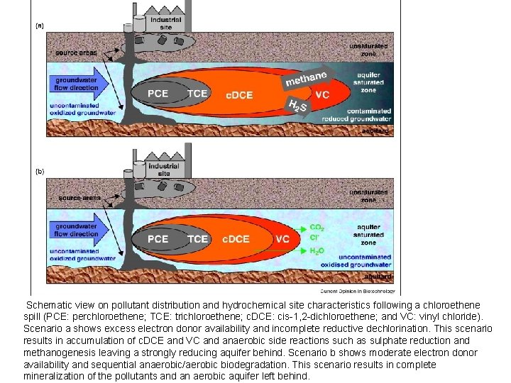  Schematic view on pollutant distribution and hydrochemical site characteristics following a chloroethene spill