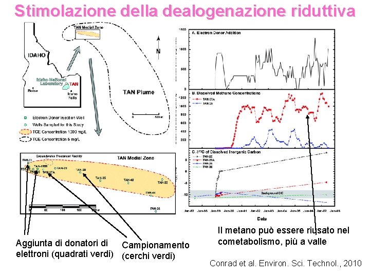 Stimolazione della dealogenazione riduttiva Aggiunta di donatori di Campionamento elettroni (quadrati verdi) (cerchi verdi)