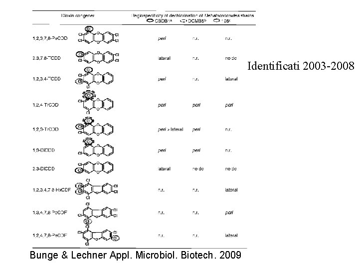 Identificati 2003 -2008 Bunge & Lechner Appl. Microbiol. Biotech. 2009 