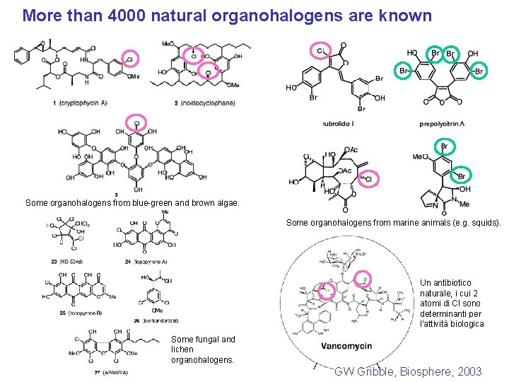 More than 4000 natural organohalogens are known Some organohalogens from blue-green and brown algae.