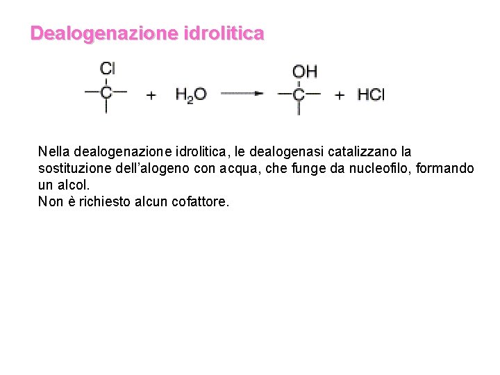 Dealogenazione idrolitica Nella dealogenazione idrolitica, le dealogenasi catalizzano la sostituzione dell’alogeno con acqua, che