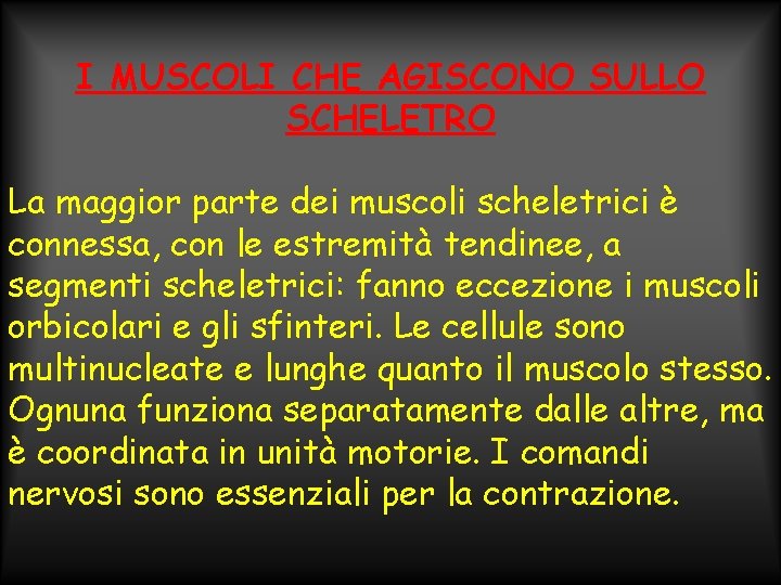 I MUSCOLI CHE AGISCONO SULLO SCHELETRO La maggior parte dei muscoli scheletrici è connessa,