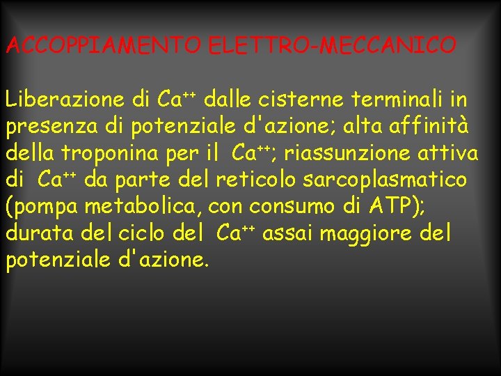 ACCOPPIAMENTO ELETTRO-MECCANICO Liberazione di Ca++ dalle cisterne terminali in presenza di potenziale d'azione; alta