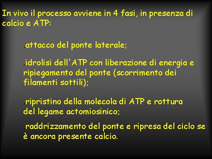 In vivo il processo avviene in 4 fasi, in presenza di calcio e ATP: