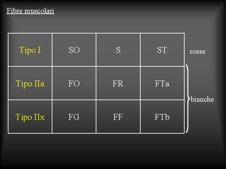 Fibre muscolari Tipo I SO S ST Tipo IIa FO FR FTa rosse bianche