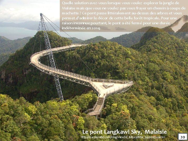 Quelle solution avez-vous lorsque vous voulez explorer la jungle de Malaise mais que vous Quelle solution avez-vous lorsque vous voulez explorer la jungle de Malaise mais que vous