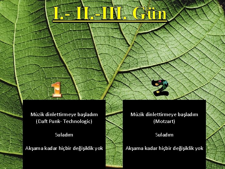 I. - II. -III. Gün Müzik dinlettirmeye başladım (Daft Punk- Technologic) Müzik dinlettirmeye başladım