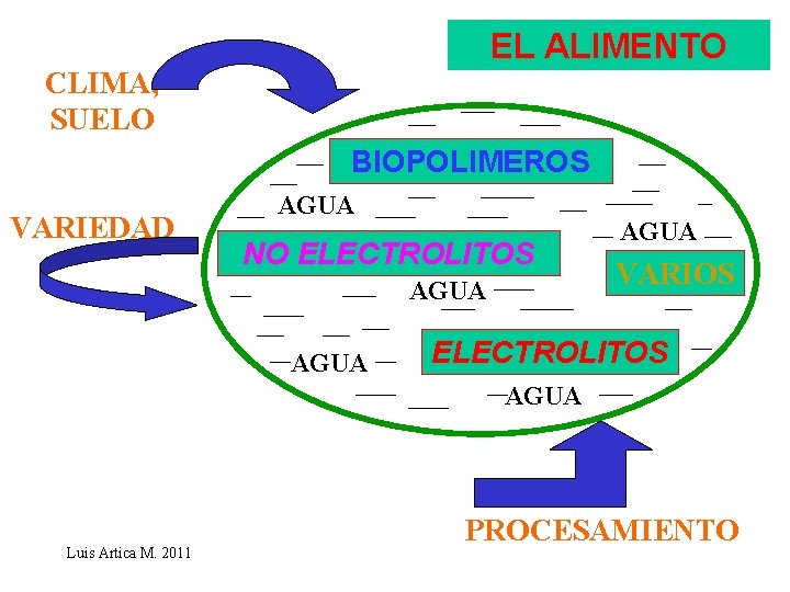 EL ALIMENTO CLIMA, SUELO BIOPOLIMEROS VARIEDAD AGUA NO ELECTROLITOS AGUA VARIOS ELECTROLITOS AGUA Luis