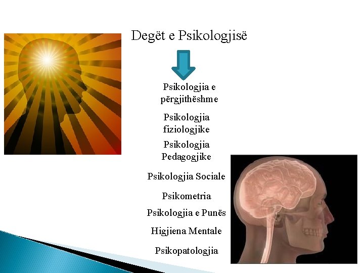 Degët e Psikologjisë Psikologjia e përgjithëshme Psikologjia fiziologjike Psikologjia Pedagogjike Psikologjia Sociale Psikometria Psikologjia