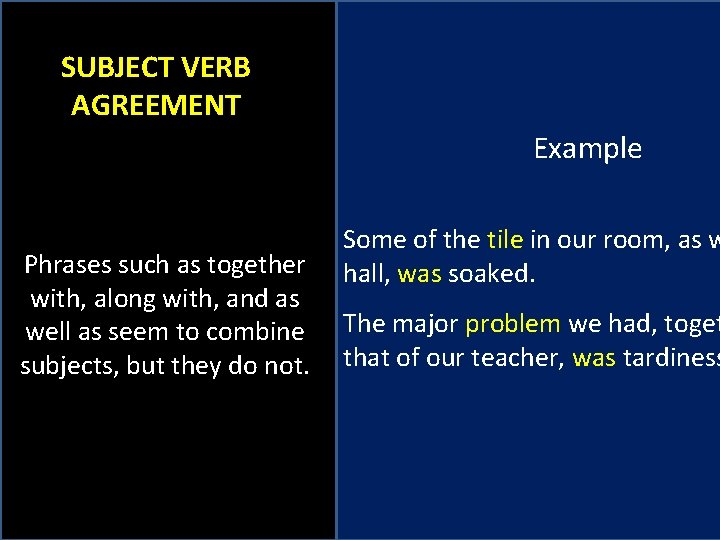 SUBJECT VERB AGREEMENT Example Phrases such as together with, along with, and as well