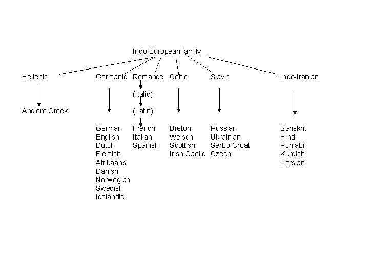 Indo-European family Hellenic Germanic Romance Celtic Slavic Indo-Iranian Russian Ukrainian Serbo-Croat Czech Sanskrit Hindi