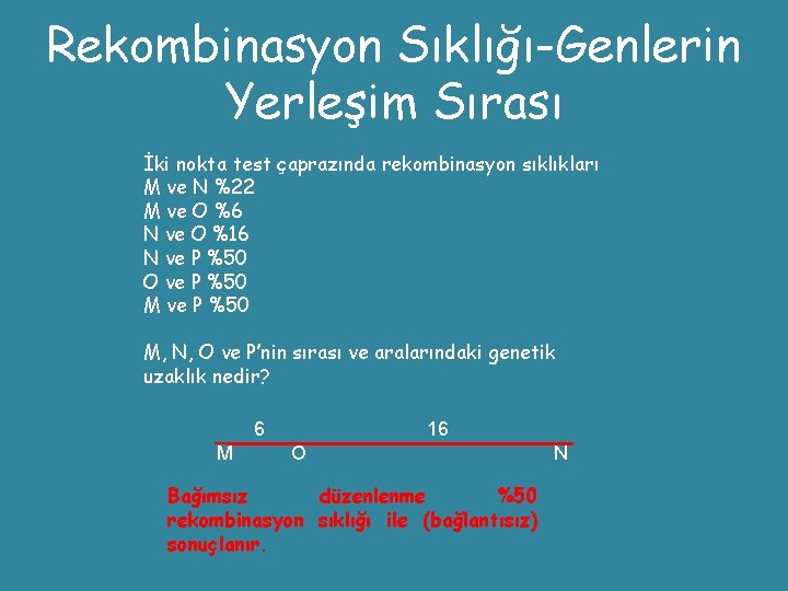 Rekombinasyon Sıklığı-Genlerin Yerleşim Sırası İki nokta test çaprazında rekombinasyon sıklıkları M ve N %22