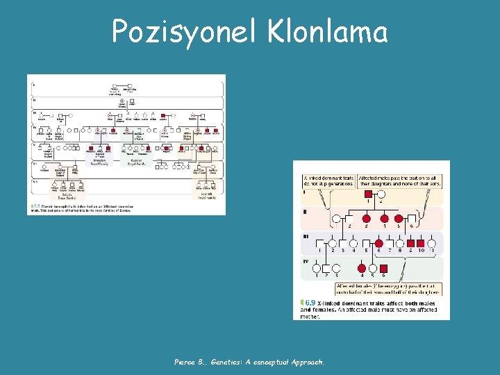 Pozisyonel Klonlama Pierce B. , Genetics: A conceptual Approach, 