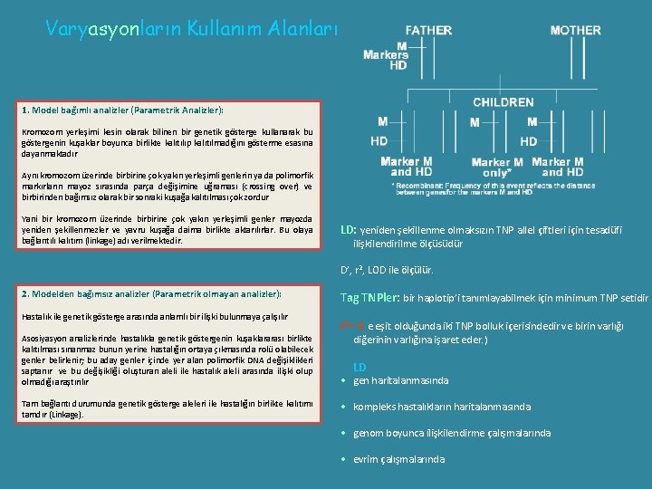 Varyasyonların Kullanım Alanları 1. Model bağımlı analizler (Parametrik Analizler): Kromozom yerleşimi kesin olarak bilinen