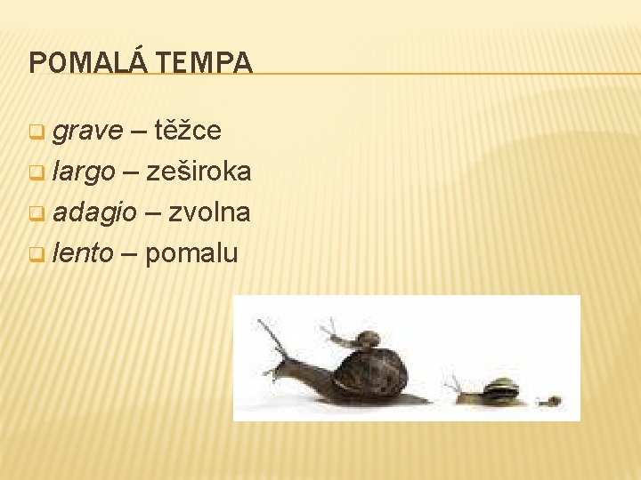 POMALÁ TEMPA q grave – těžce q largo – zeširoka q adagio – zvolna