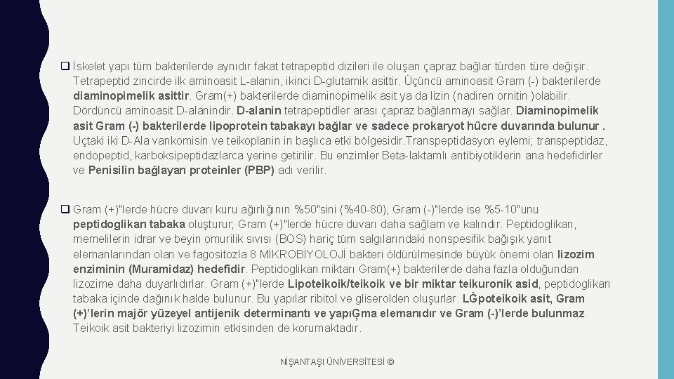 q İskelet yapı tüm bakterilerde aynıdır fakat tetrapeptid dizileri ile oluşan çapraz bağlar türden