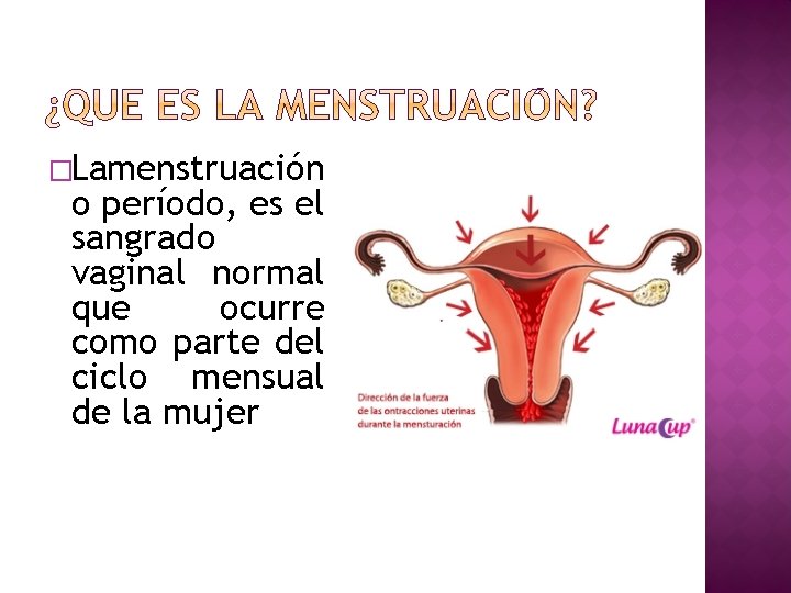 �Lamenstruación o período, es el sangrado vaginal normal que ocurre como parte del ciclo