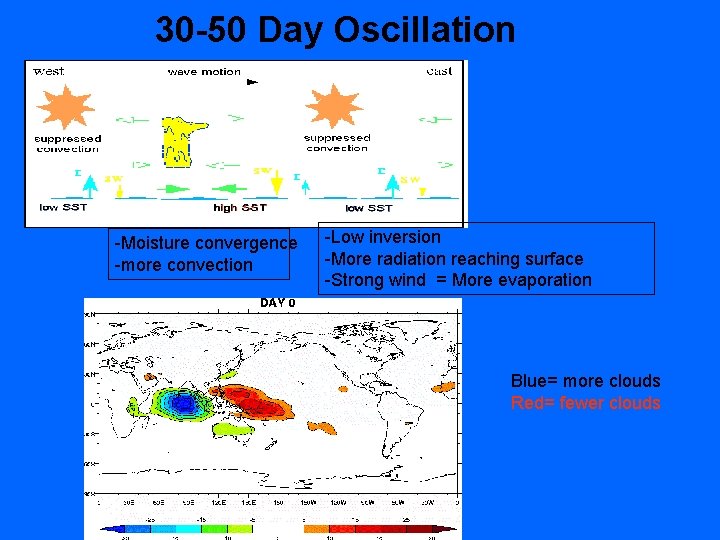 30 -50 Day Oscillation -Moisture convergence -more convection -Low inversion -More radiation reaching surface