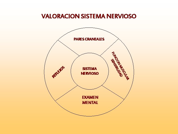 VALORACION SISTEMA NERVIOSO PARES CRANEALES FU L F RE SISTEMA NERVIOSO EXAMEN MENTAL AR