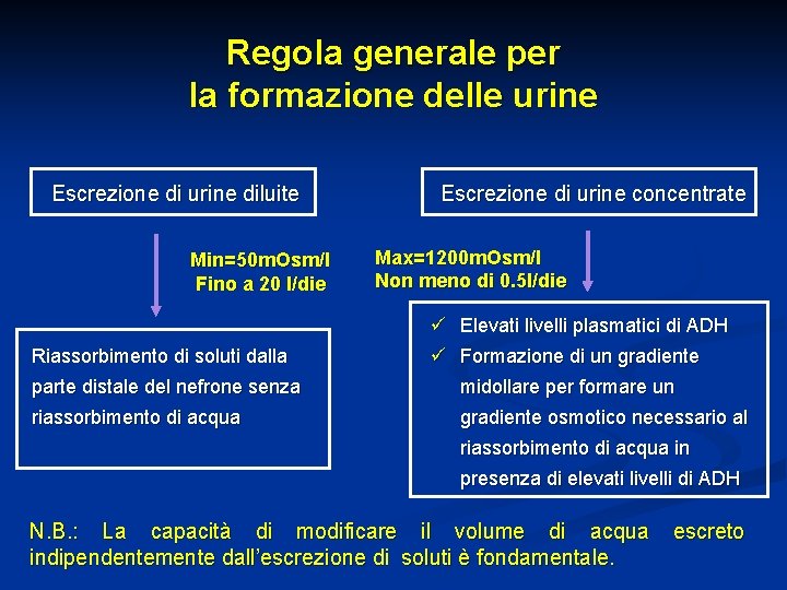 Regola generale per la formazione delle urine Escrezione di urine diluite Min=50 m. Osm/l
