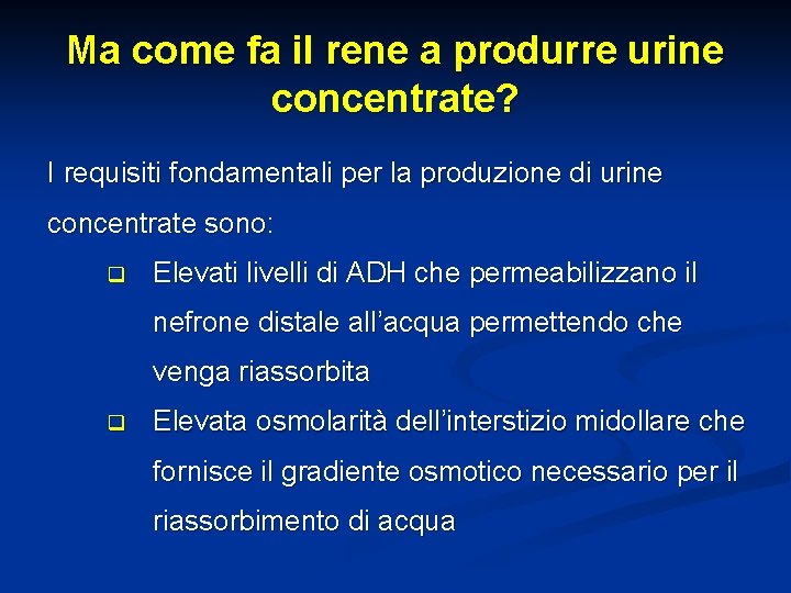 Ma come fa il rene a produrre urine concentrate? I requisiti fondamentali per la