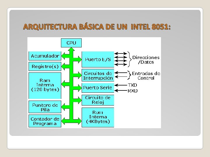 ARQUITECTURA BÁSICA DE UN INTEL 8051: 