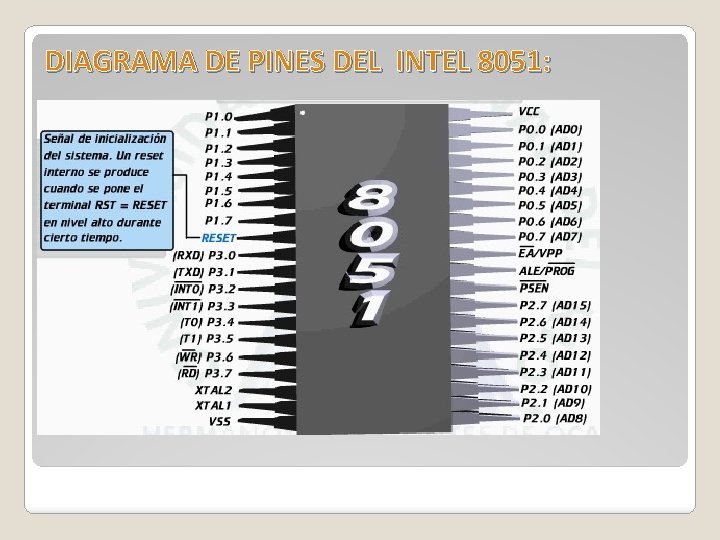 DIAGRAMA DE PINES DEL INTEL 8051: 