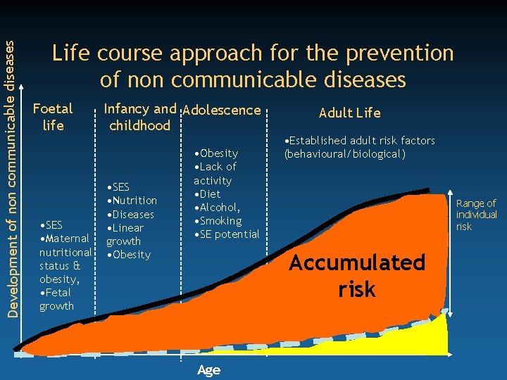Development of non communicable diseases Life course approach for the prevention of non communicable