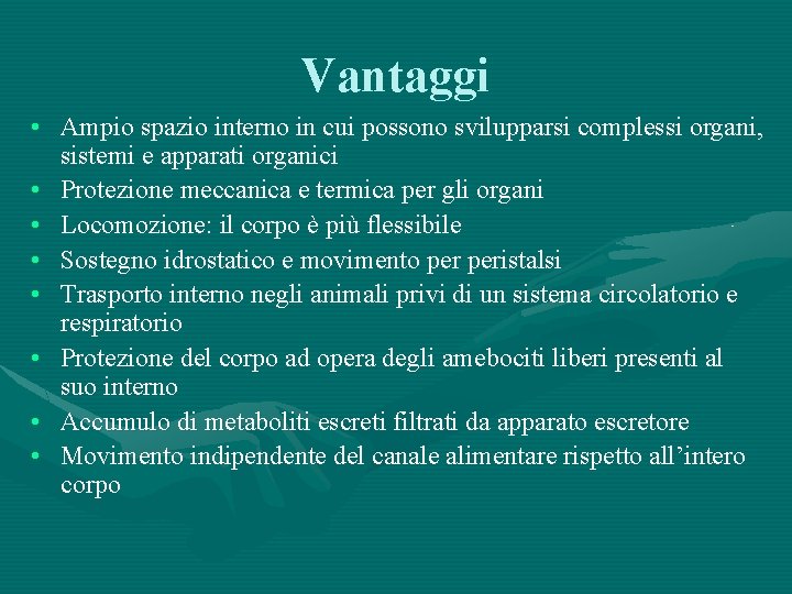 Vantaggi • Ampio spazio interno in cui possono svilupparsi complessi organi, sistemi e apparati