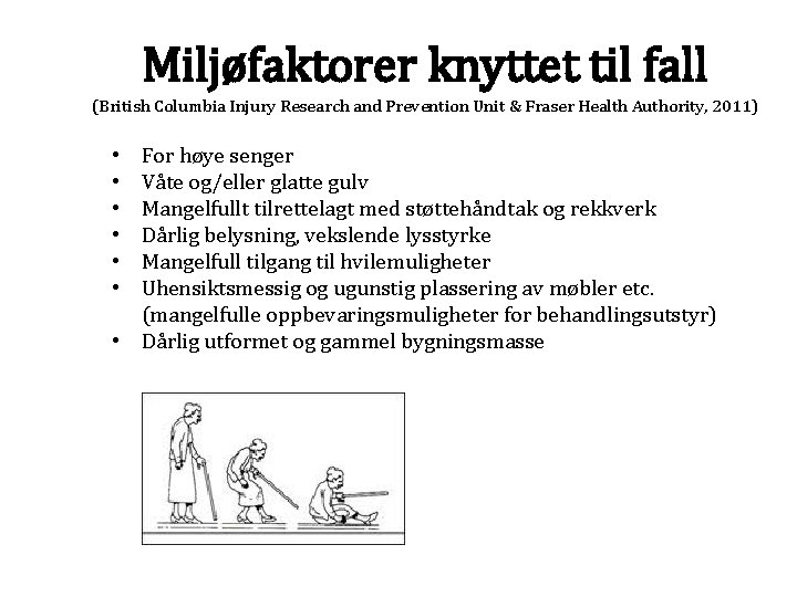 Miljøfaktorer knyttet til fall (British Columbia Injury Research and Prevention Unit & Fraser Health