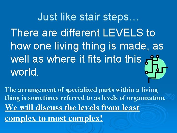 Just like stair steps… There are different LEVELS to how one living thing is