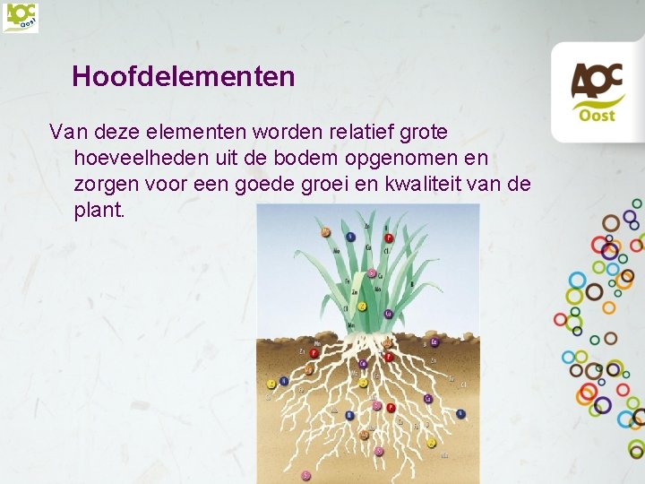 Hoofdelementen Van deze elementen worden relatief grote hoeveelheden uit de bodem opgenomen en zorgen