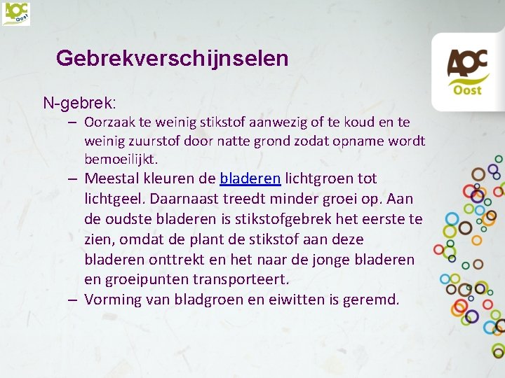 Gebrekverschijnselen N-gebrek: – Oorzaak te weinig stikstof aanwezig of te koud en te weinig