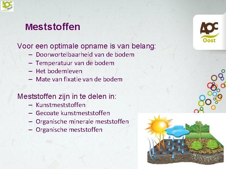 Meststoffen Voor een optimale opname is van belang: – – Doorwortelbaarheid van de bodem