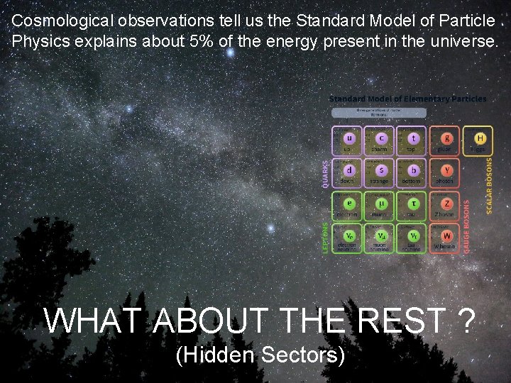 Cosmological observations tell us the Standard Model of Particle Physics explains about 5% of