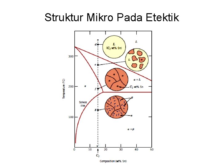 Struktur Mikro Pada Etektik 