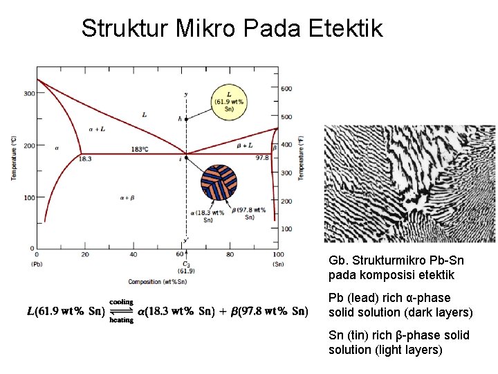 Struktur Mikro Pada Etektik Gb. Strukturmikro Pb-Sn pada komposisi etektik Pb (lead) rich α-phase