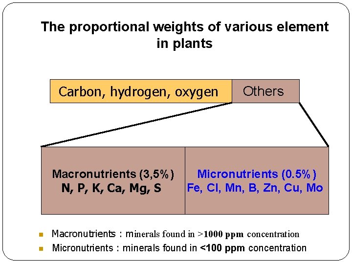 The proportional weights of various element in plants Carbon, hydrogen, oxygen Macronutrients (3, 5%)
