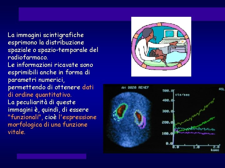 La immagini scintigrafiche esprimono la distribuzione spaziale o spazio-temporale del radiofarmaco. Le informazioni ricavate