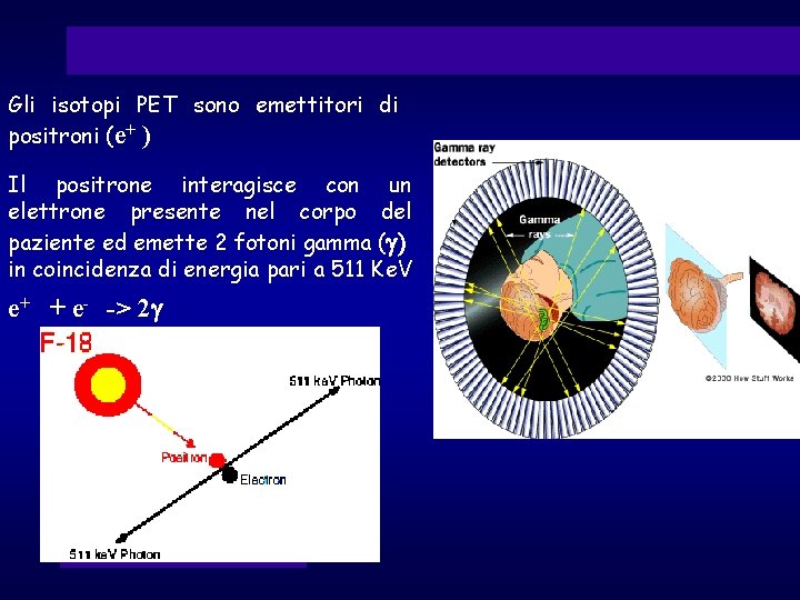 Gli isotopi PET sono emettitori di positroni (e+ ) Il positrone interagisce con un