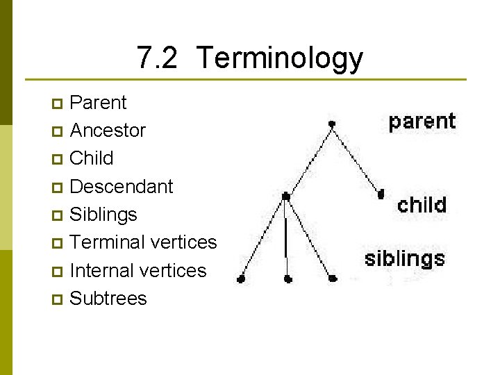 7. 2 Terminology Parent p Ancestor p Child p Descendant p Siblings p Terminal
