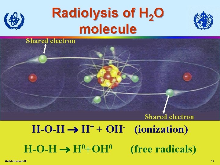 Radiolysis of H 2 O molecule Shared electron H-O-H H+ + OH- (ionization) H-O-H