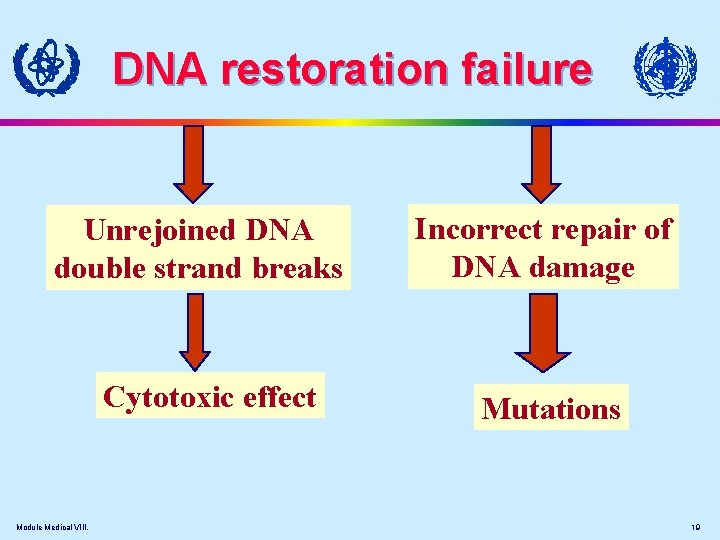 DNA restoration failure Unrejoined DNA double strand breaks Cytotoxic effect Module Medical VIII. Incorrect