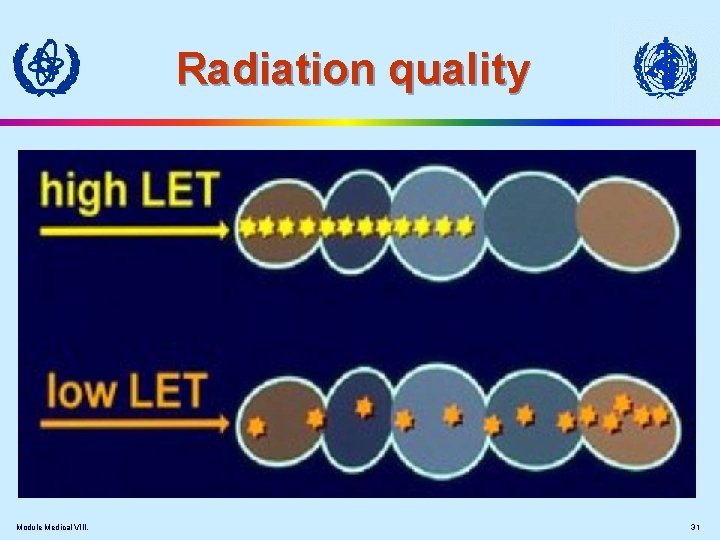 Radiation quality Module Medical VIII. 31 