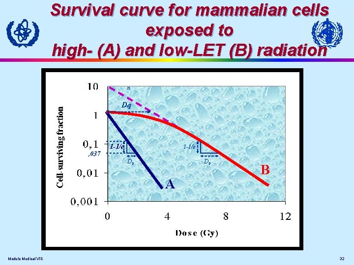 Survival curve for mammalian cells exposed to high- (A) and low-LET (B) radiation n