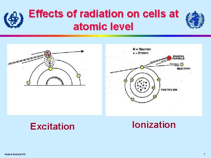 Effects of radiation on cells at atomic level Excitation Module Medical VIII. Ionization 7