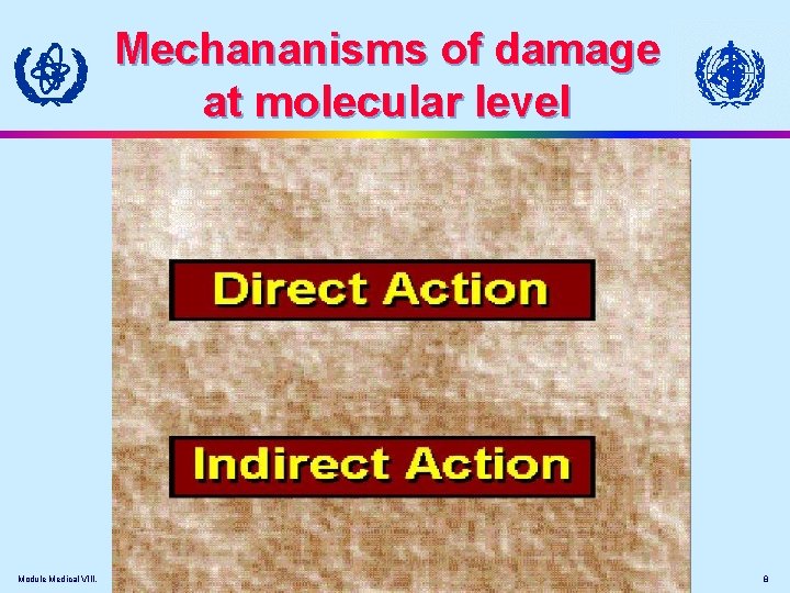 Mechananisms of damage at molecular level Module Medical VIII. 8 
