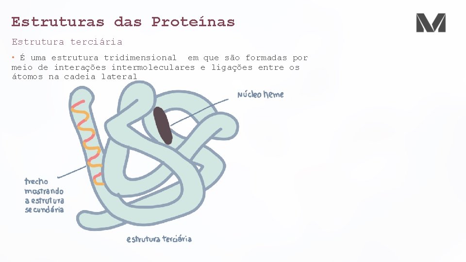 Estruturas das Proteínas Estrutura terciária • É uma estrutura tridimensional em que são formadas