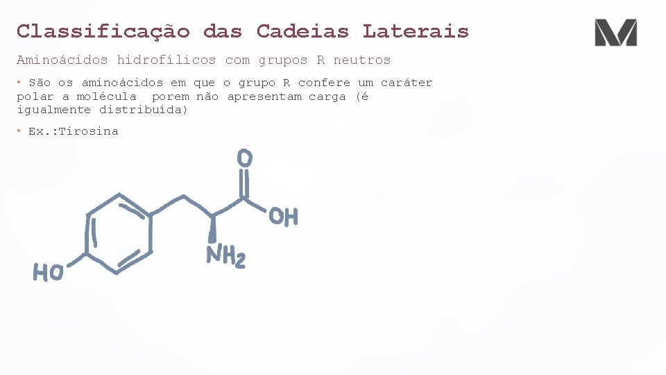 Classificação das Cadeias Laterais Aminoácidos hidrofílicos com grupos R neutros • São os aminoácidos