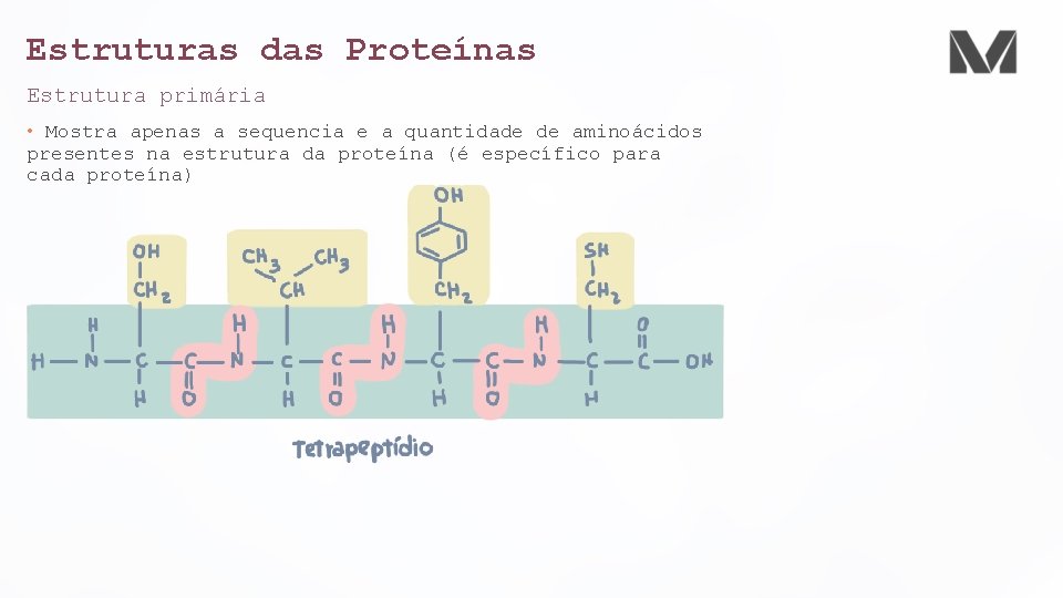 Estruturas das Proteínas Estrutura primária • Mostra apenas a sequencia e a quantidade de